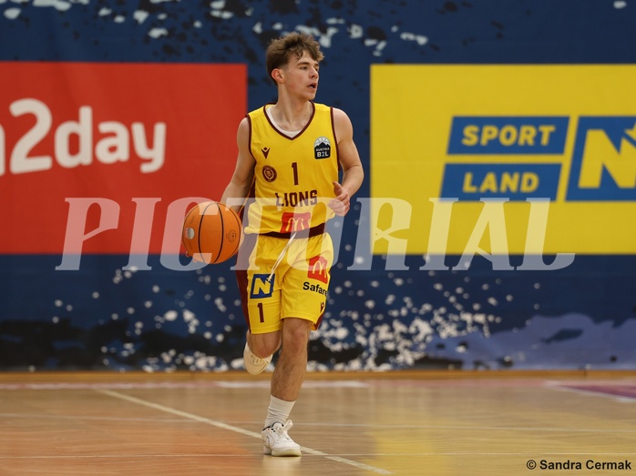 Basketball Zweite Liga 2024/25, Grunddurchgang 22.Runde Traiskirchen Lions NextGen vs. Mistelmach Mustangs


