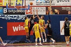 Basketball Zweite Liga 2024/25, Grunddurchgang 22.Runde Traiskirchen Lions NextGen vs. Mistelmach Mustangs



