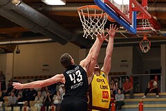 Basketball Zweite Liga 2024/25, Grunddurchgang 22.Runde Traiskirchen Lions NextGen vs. Mistelmach Mustangs


