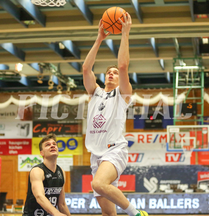 Basketball Zweite Liga 2024/25, Grunddurchgang 22.Runde Upper Austrian Ballers vs. Güssing Blackbirds


