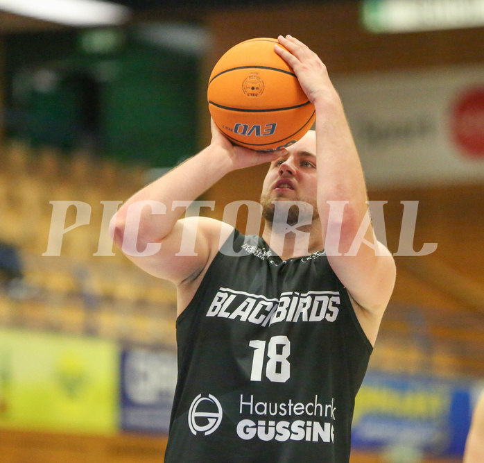 Basketball Zweite Liga 2024/25, Grunddurchgang 22.Runde Upper Austrian Ballers vs. Güssing Blackbirds


