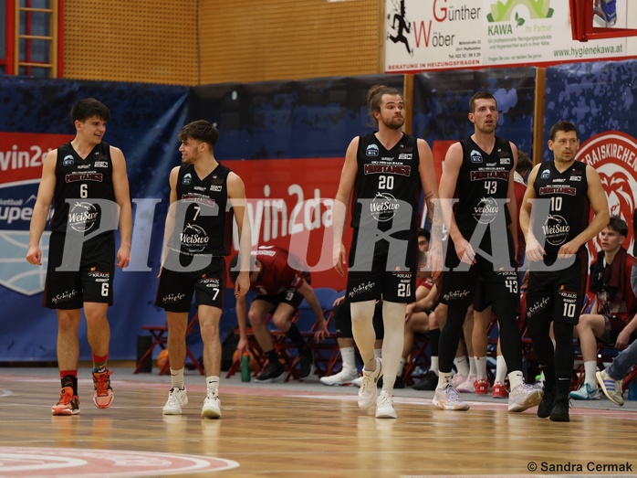 Basketball Zweite Liga 2024/25, Grunddurchgang 22.Runde Traiskirchen Lions NextGen vs. Mistelmach Mustangs



