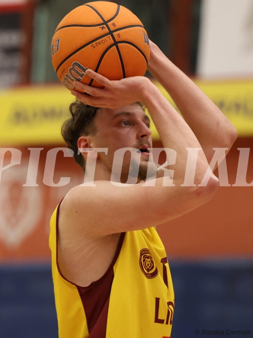 Basketball Zweite Liga 2024/25, Grunddurchgang 22.Runde Traiskirchen Lions NextGen vs. Mistelmach Mustangs


