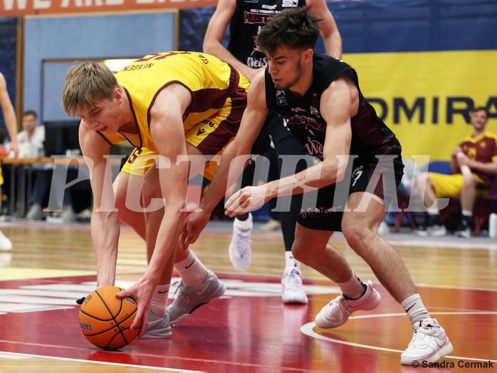 Basketball Zweite Liga 2024/25, Grunddurchgang 22.Runde Traiskirchen Lions NextGen vs. Mistelmach Mustangs


