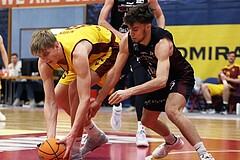 Basketball Zweite Liga 2024/25, Grunddurchgang 22.Runde Traiskirchen Lions NextGen vs. Mistelmach Mustangs



