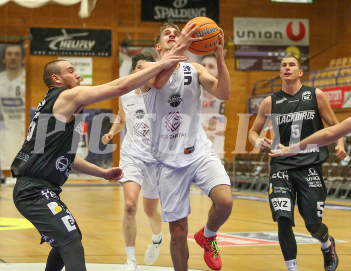 Basketball Zweite Liga 2024/25, Grunddurchgang 22.Runde Upper Austrian Ballers vs. Güssing Blackbirds


