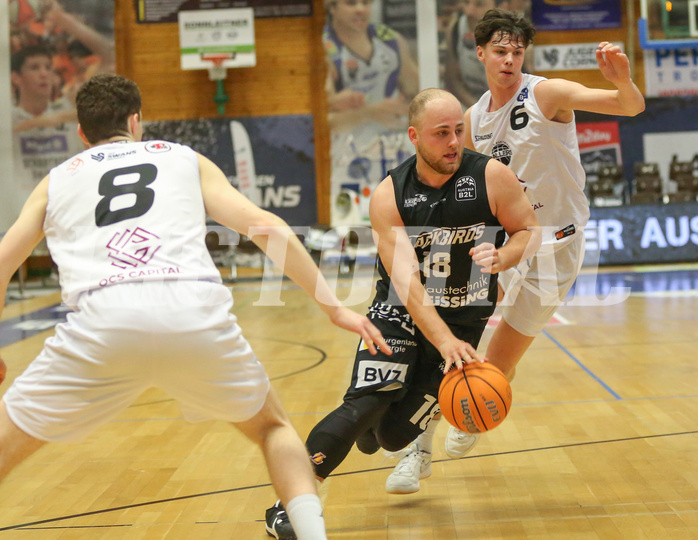 Basketball Zweite Liga 2024/25, Grunddurchgang 22.Runde Upper Austrian Ballers vs. Güssing Blackbirds


