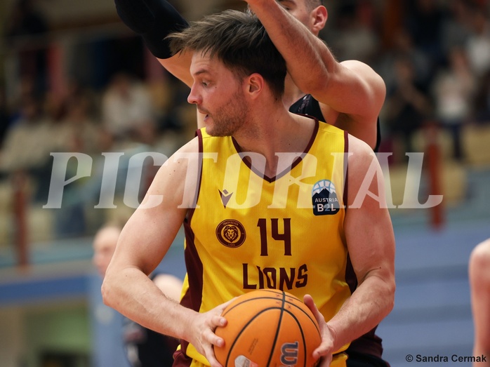 Basketball Zweite Liga 2024/25, Grunddurchgang 22.Runde Traiskirchen Lions NextGen vs. Mistelmach Mustangs


