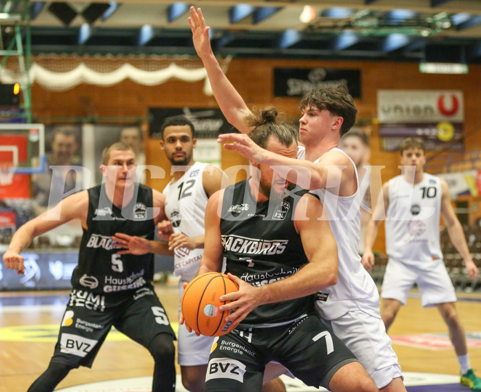 Basketball Zweite Liga 2024/25, Grunddurchgang 22.Runde Upper Austrian Ballers vs. Güssing Blackbirds



