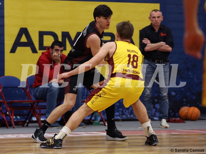 Basketball Zweite Liga 2024/25, Grunddurchgang 22.Runde Traiskirchen Lions NextGen vs. Mistelmach Mustangs


