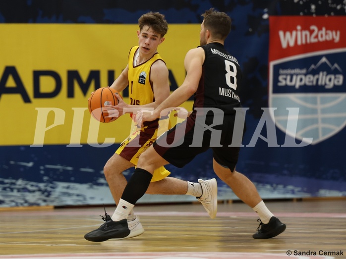 Basketball Zweite Liga 2024/25, Grunddurchgang 22.Runde Traiskirchen Lions NextGen vs. Mistelmach Mustangs



