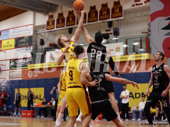 Basketball Zweite Liga 2024/25, Grunddurchgang 22.Runde Traiskirchen Lions NextGen vs. Mistelmach Mustangs


