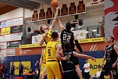 Basketball Zweite Liga 2024/25, Grunddurchgang 22.Runde Traiskirchen Lions NextGen vs. Mistelmach Mustangs


