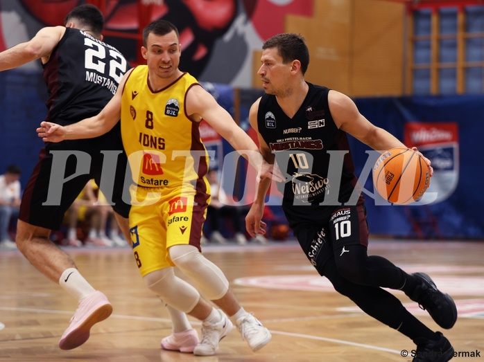 Basketball Zweite Liga 2024/25, Grunddurchgang 22.Runde Traiskirchen Lions NextGen vs. Mistelmach Mustangs


