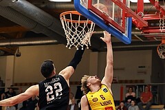 Basketball Zweite Liga 2024/25, Grunddurchgang 22.Runde Traiskirchen Lions NextGen vs. Mistelmach Mustangs


