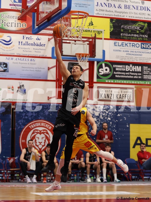Basketball Zweite Liga 2024/25, Grunddurchgang 22.Runde Traiskirchen Lions NextGen vs. Mistelmach Mustangs


