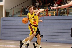 Basketball Zweite Liga 2024/25, Grunddurchgang 22.Runde Traiskirchen Lions NextGen vs. Mistelmach Mustangs


