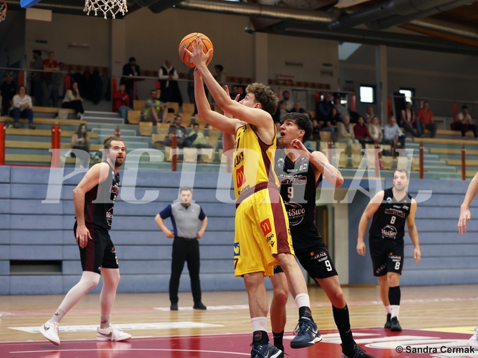 Basketball Zweite Liga 2024/25, Grunddurchgang 22.Runde Traiskirchen Lions NextGen vs. Mistelmach Mustangs


