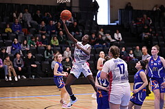 04.02.2023, Graz, Raiffeisen Sportpark, Basketball Damen Superliga 2022/23, Grunddurchgang 1.Runde, UBSC-DBBC Graz vs. DBB LZ OÖ,  