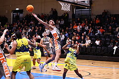 11.11.2023, Graz, Raiffeisen Sportpark Graz, Basketball Superliga 2023/24, Grunddurchgang, Runde 7, UBSC Raiffeisen Graz vs.  BK IMMOunited Dukes