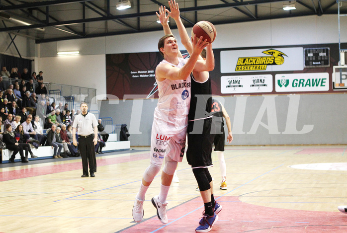 Basketball 2.Bundesliga 2019/20 Grunddurchgang 17.Runde  Güssing/Jennersdorff Blackbirds vs Mistelbach Mustangs