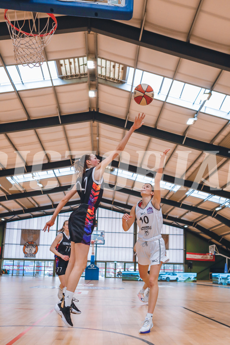 Basketball Basketball Superliga 2020/21, Grunddurchgang 14.Runde Vienna D.C. Timberwolves vs. Vienna United
