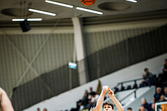 Basketball, Win2Day Superliga 2023/24, Grunddurchgang 14.Runde, Vienna Timberwolves, Klosterneuburg Dukes, Lennart Burgemeister (10)