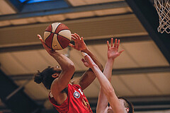 Basketball Basketball Superliga 2020/21, 4. Qualifikationsrunde T Vienna D.C. Timberwolves vs. BC Vienna
