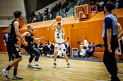 Basketball, Basketball Zweite Liga 2024/25, Grunddurchgang 8.Runde, Vienna Timberwolves, Güssing Blackbirds, Maximilian Seher (16)