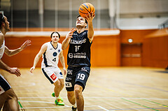 Basketball, Basketball Zweite Liga 2024/25, Grunddurchgang 8.Runde, Vienna Timberwolves, Güssing Blackbirds, Jakob Ernst (19)