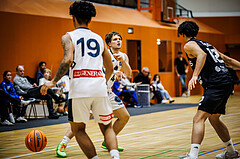 Basketball, Basketball Zweite Liga 2024/25, Grunddurchgang 8.Runde, Vienna Timberwolves, Güssing Blackbirds, Felix Angerbauer (4)