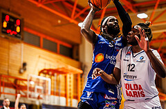 Basketball, win2day Basketball Superliga 2024/25, Grunddurchgang Runde 9, BBC Nord Dragonz, Oberwart Gunners, Siegfried Reid (5)