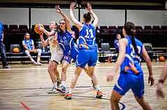 Basketball, Win2Day Basketball Damen Superliga 2023/24, Grunddurchgang 12.Runde, Basket Flames, DBB LZ OÖ, Stella Popp (4)
