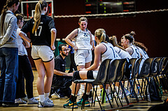 Basketball, Win2Day Basketball Damen Superliga 2023/24, Grunddurchgang 12.Runde, Basket Flames, DBB LZ OÖ, Hirbod Mahdavi (Head Coach)