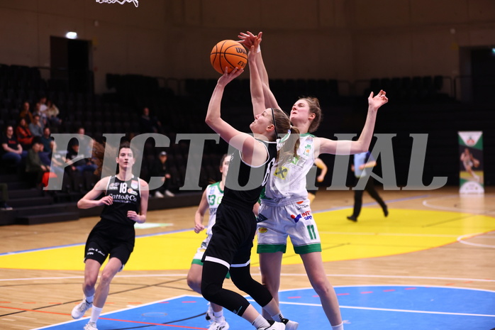 02.03.2024, Graz, Raiffeisen Sportpark, Basketball Damen Superliga 2023/24, Grunddurchgang 14.Runde, UBI Holding Graz - Basket Flames Women ,  