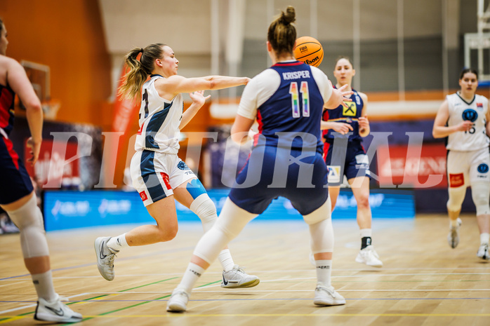 Basketball, Win2Day Basketball Damen Superliga 2023/24, Grunddurchgang 14.Runde, Vienna Timberwolves, SKN St. Pölten, Petra Pammer (21)