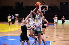 02.03.2024, Graz, Raiffeisen Sportpark, Basketball Damen Superliga 2023/24, Grunddurchgang 14.Runde, UBI Holding Graz - Basket Flames Women ,  