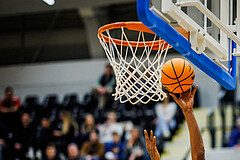 Basketball, Win2Day Superliga 2023/24, 1. Qualifikationsrunde, Vienna Timberwolves, Fürstenfeld Panthers, Joe Hampton (9)