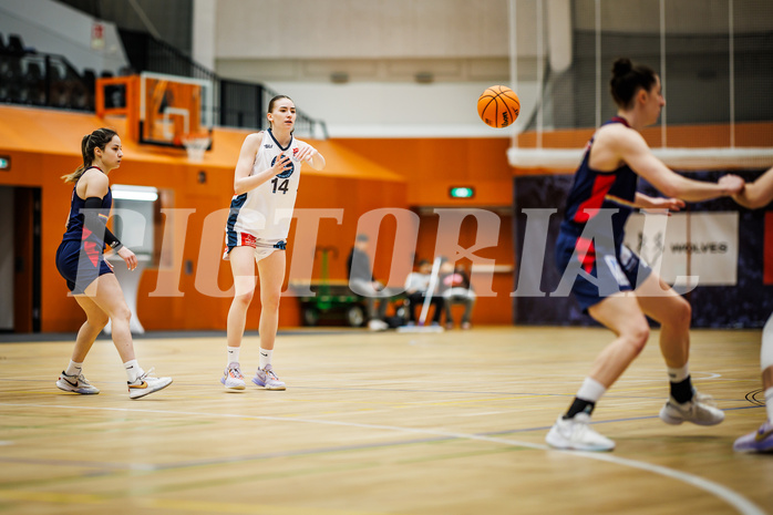 Basketball, Win2Day Basketball Damen Superliga 2023/24, Grunddurchgang 14.Runde, Vienna Timberwolves, SKN St. Pölten, Melanie Fischer (14)