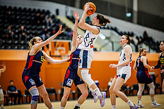 Basketball, Win2Day Basketball Damen Superliga 2023/24, Grunddurchgang 14.Runde, Vienna Timberwolves, SKN St. Pölten, Aleksandra Novakovic (8)