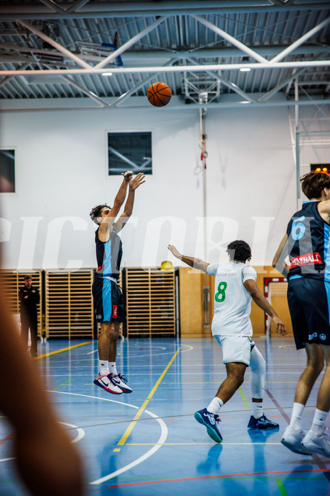 Basketball, Basketball Zweite Liga 2024/25, Grunddurchgang 13.Runde, UDW Alligators, Vienna Timberwolves, Armin Karian (7)