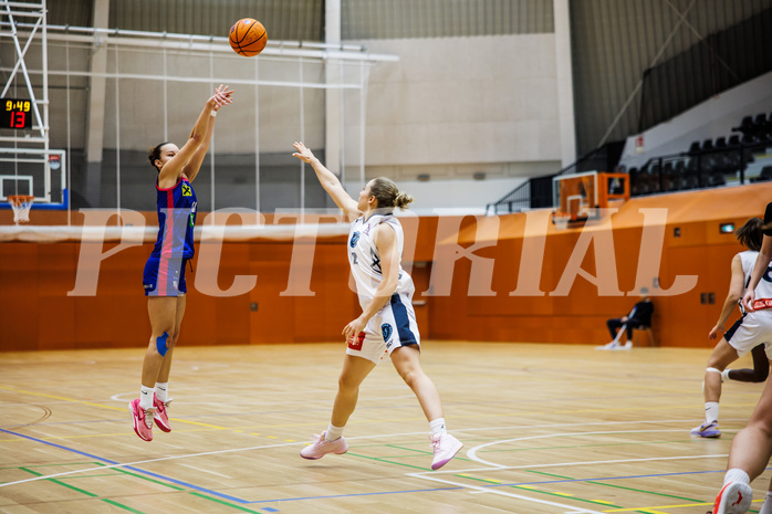 Basketball, Win2Day Basketball Damen Superliga 2024/25, Grunddurchgang 10.Runde, Vienna Timberwolves, UBSC DBBC Graz, Lejla Meskic (11)