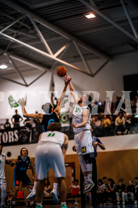 Basketball, Basketball Zweite Liga 2024/25, Grunddurchgang 13.Runde, UDW Alligators, Vienna Timberwolves, Vincent Balau (6), Matej Drgon (12)