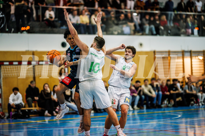 Basketball, Basketball Zweite Liga 2024/25, Grunddurchgang 13.Runde, UDW Alligators, Vienna Timberwolves, Dean-Leon Cantor (19), Daniel Schuch (10)