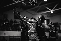 Basketball, Basketball Zweite Liga 2024/25, Grunddurchgang 13.Runde, UDW Alligators, Vienna Timberwolves, Vincent Balau (6), Steven Kaltenbrunner (8), Ivor Kuresevic (44)