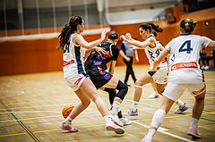 Basketball, Win2Day Basketball Damen Superliga 2024/25, Grunddurchgang 11.Runde, Vienna Timberwolves, Vienna United, Antonia Reissner (9)