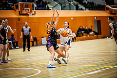 Basketball, Win2Day Basketball Damen Superliga 2024/25, Grunddurchgang 11.Runde, Vienna Timberwolves, Vienna United, Elisa Khamis (1)