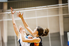 Basketball, Win2Day Basketball Damen Superliga 2024/25, Grunddurchgang 11.Runde, Vienna Timberwolves, Vienna United, Larissa Serban (31)