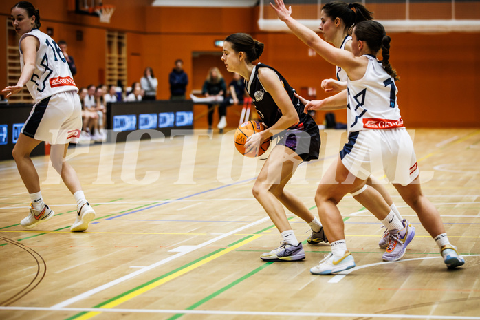 Basketball, Win2Day Basketball Damen Superliga 2024/25, Grunddurchgang 11.Runde, Vienna Timberwolves, Vienna United, Laetitia Schuhmacher (5)