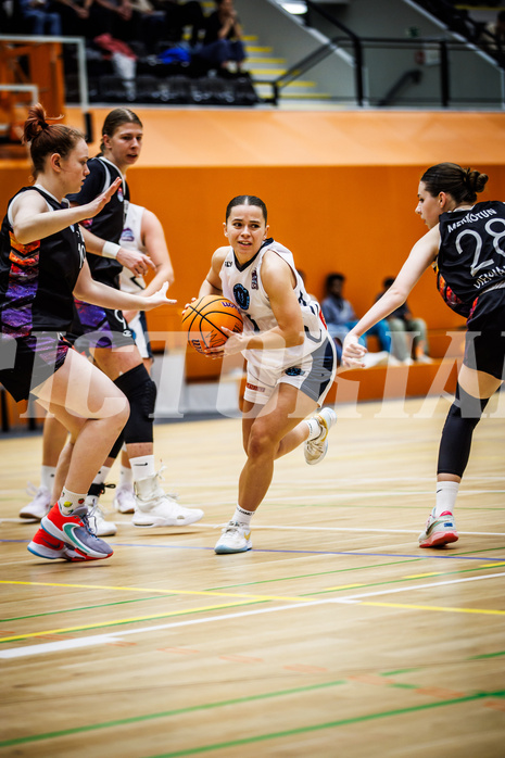 Basketball, Win2Day Basketball Damen Superliga 2024/25, Grunddurchgang 11.Runde, Vienna Timberwolves, Vienna United, Elisa Khamis (1)